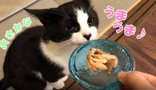 9月のウマウマデーは秋刀魚＆鮭♪【サンマのかば焼き丼】